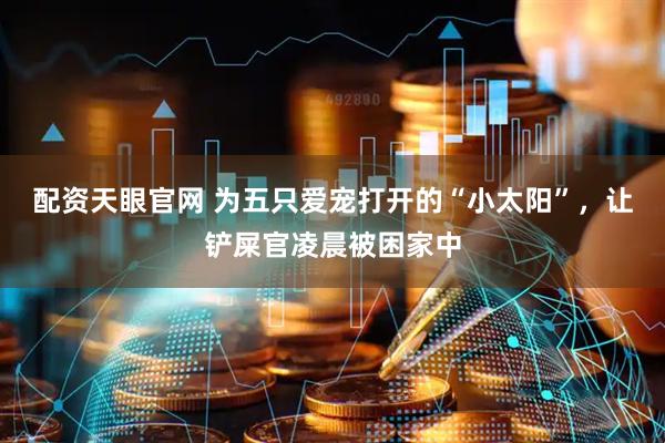 配资天眼官网 为五只爱宠打开的“小太阳”，让铲屎官凌晨被困家中